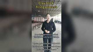 Tunneloven voor het bakproces van baksteen